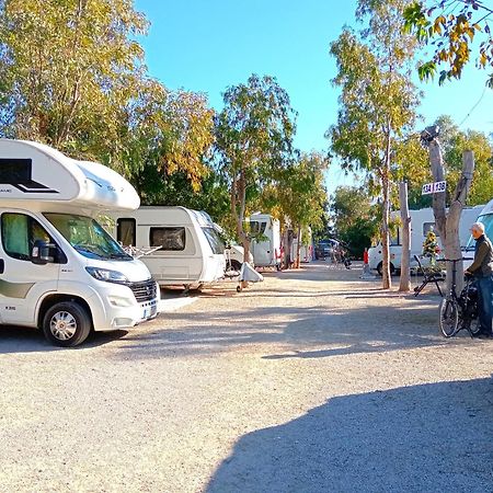 Camping La Naranja Hotel Gandía Exterior foto